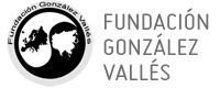 Fundación González Vallés